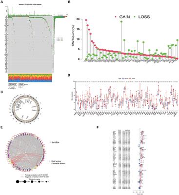 Prognostic model for hepatocellular carcinoma based on anoikis-related genes: immune landscape analysis and prediction of drug sensitivity